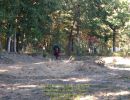 mack s bachelor party  10 03 26  