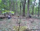 matt s bachelor party  9 12 26  