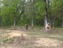 mav s bachelor party  5 22 26  