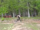 mav s bachelor party  5 22 26  