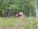 mav s bachelor party  5 22 26  