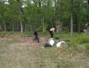 mav s bachelor party  5 22 26  