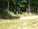 natera bachelor party  6 6 26  