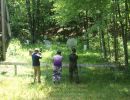 natera bachelor party  6 6 26  