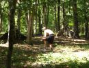 natera bachelor party  6 6 26  