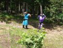 natera bachelor party  6 6 26  