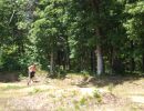 natera bachelor party  6 6 26  