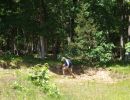 natera bachelor party  6 6 26  