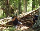 natera bachelor party  6 6  