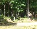 natera bachelor party  6 6 26  