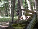 nick s bachelor party  8 22 26  