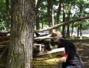 nick s bachelor party  8 22 26  