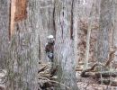 orangevine high school 4 19 26  