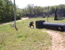 paintball predators 2 24  