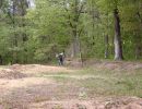 pierce s bachelor party  5 17 25  