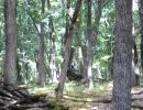skyler and tevor s birthday bash  8 22 26  