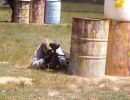 taylor s bachelor party  5 24 25  