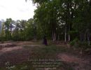 taylor l s bachelor party  52425  