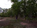 taylor l s bachelor party  52425  