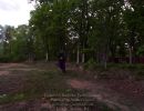 taylor l s bachelor party  52425  