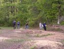 taylor l s bachelor party  52425  