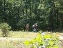 tom s bachelor party  8 20 26  