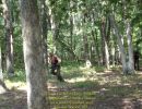 tom s bachelor party  8 20 26  