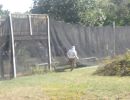 tom s bachelor party  9 12 26  