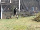 tom s bachelor party  9 12 26  