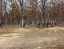tyler s bachelor party 3 28 26  