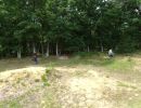 tyler s bachelor party  6 13 26  