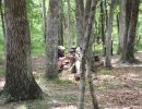 tyler s bachelor party  6 13 26  