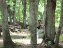 tyler s bachelor party  6 13 26  