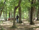 tyler s bachelor party  6 13 26  