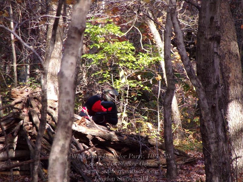 whitefish s bachelor party  18 25  