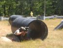zack s bachelor party  8 8 26  