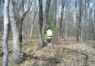Zausch Bachelor Party, 4/25/26