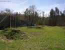 zausch bachelor party  4 25 26  