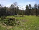 zausch bachelor party  4 25 26  