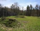 zausch bachelor party  4 25 26  