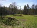 zausch bachelor party  4 25 26  